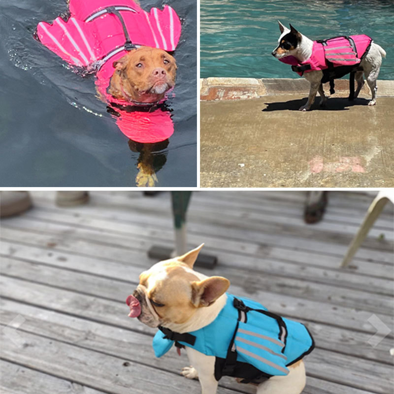 Jaket Pelampung Anjing Pakaian - Life Jacket ulasan dan harga